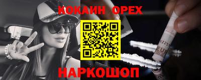 гидра Новодвинск