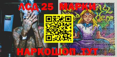 гидра Новодвинск