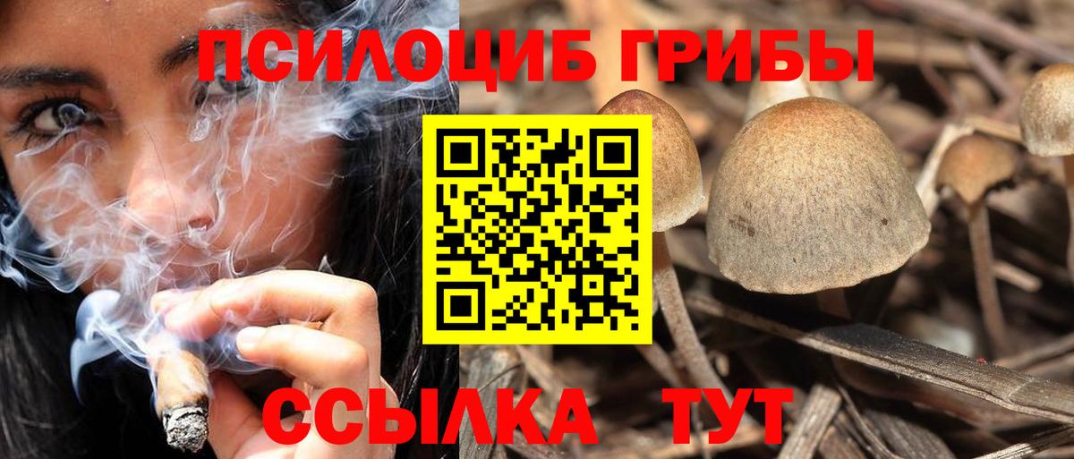 Туапсе  Псилоцибиновые грибы мухоморы  Вход с VPN 