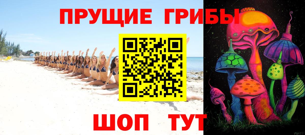 Галлюциногенные грибы Psilocybine cubensis Туапсе